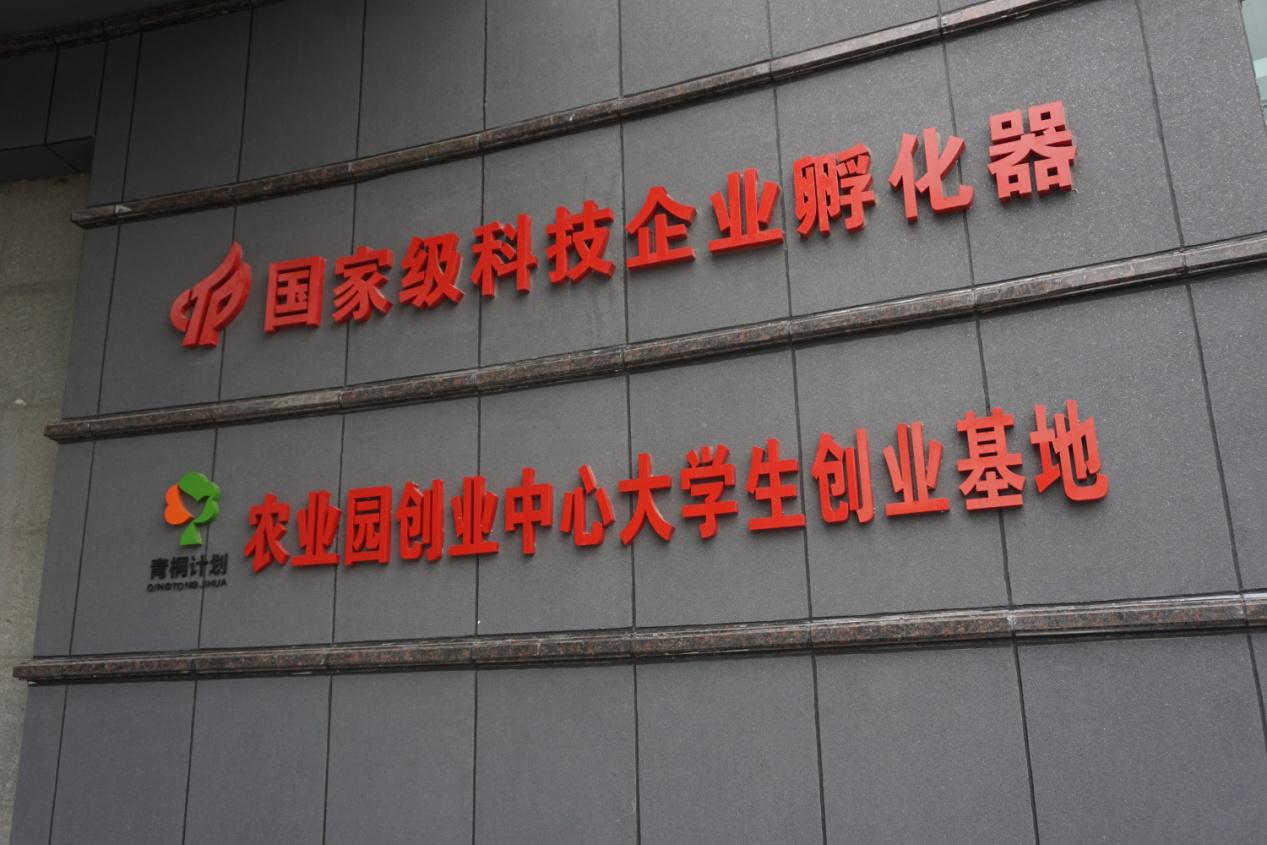 55627e86d400e 6966集团-不凡成就非凡,相信品牌的力量